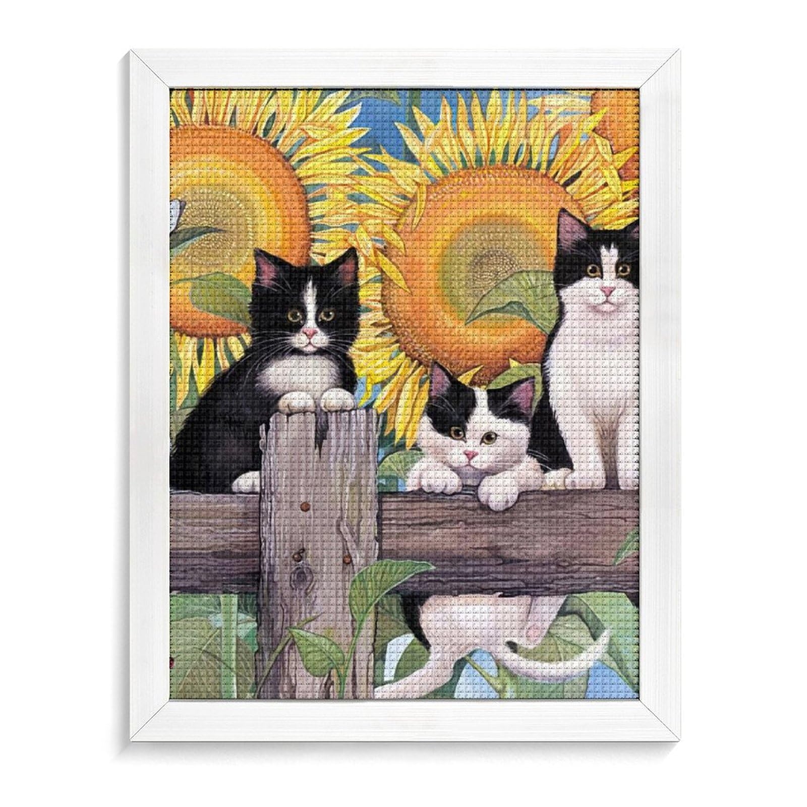 Amazon.co.jp: ダイヤモンドアート ひまわり 子猫 ネコ キット Amazon.co.jp: ダイヤモンドアート ひまわり 子猫 ネコ キット